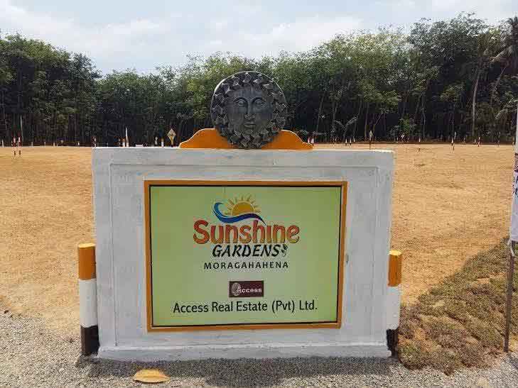 Sunshine Gardens